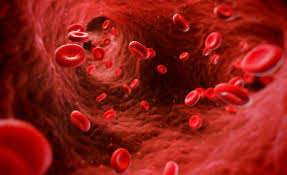 молекулы крови под микроскопом