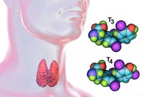 структура гормона Т3 и Т4
