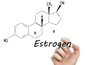 химическая формула эстрогена